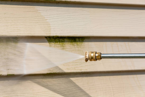 Best Affordable Pressure Washing  in Riddle, OR